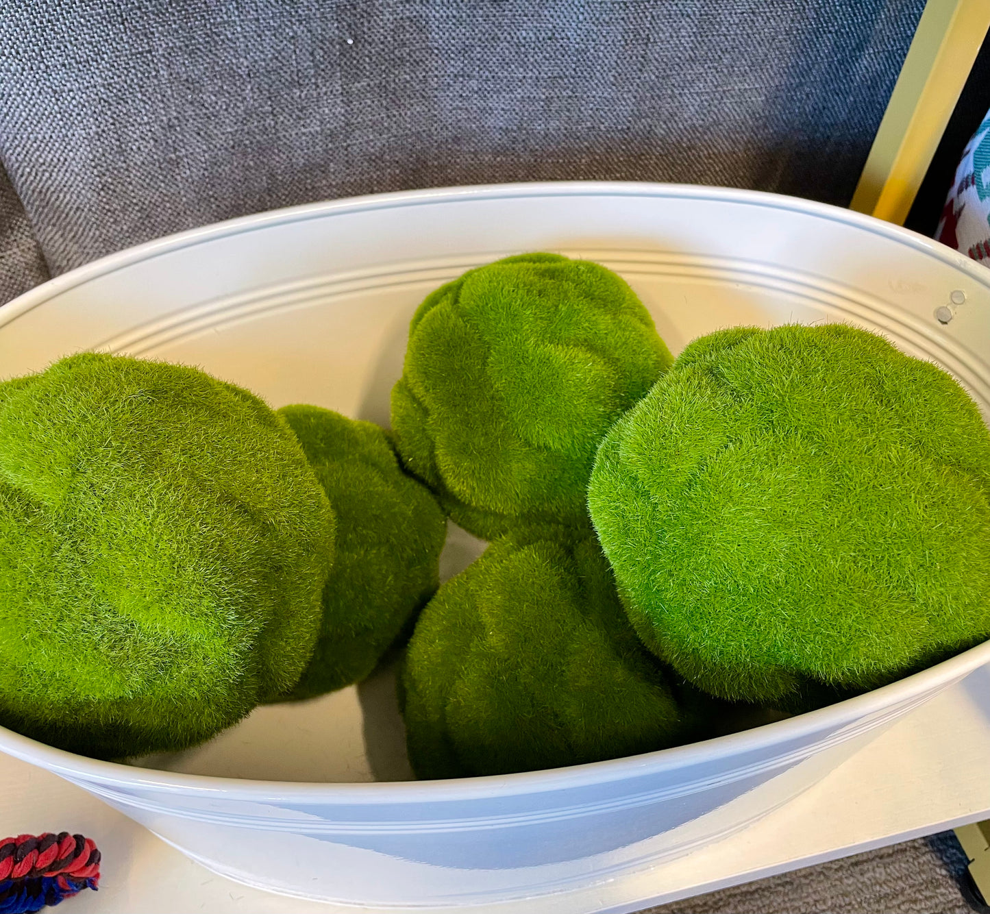 Moss Ball